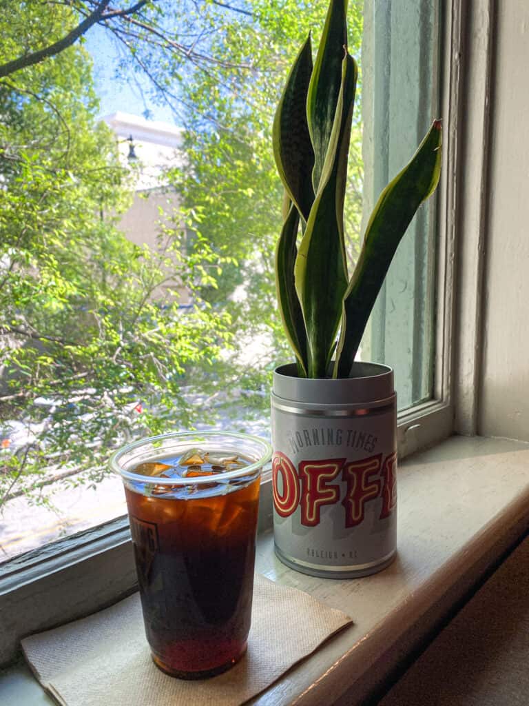 An iced coffee on a windowsill next to a plant that says morning times on the vase. One of the best coffee shops in Raleigh