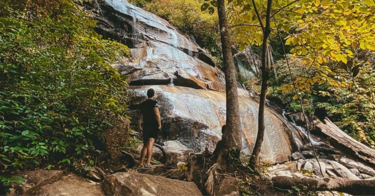 A man on a rock looking at Pisgah National Forest Waterfalls