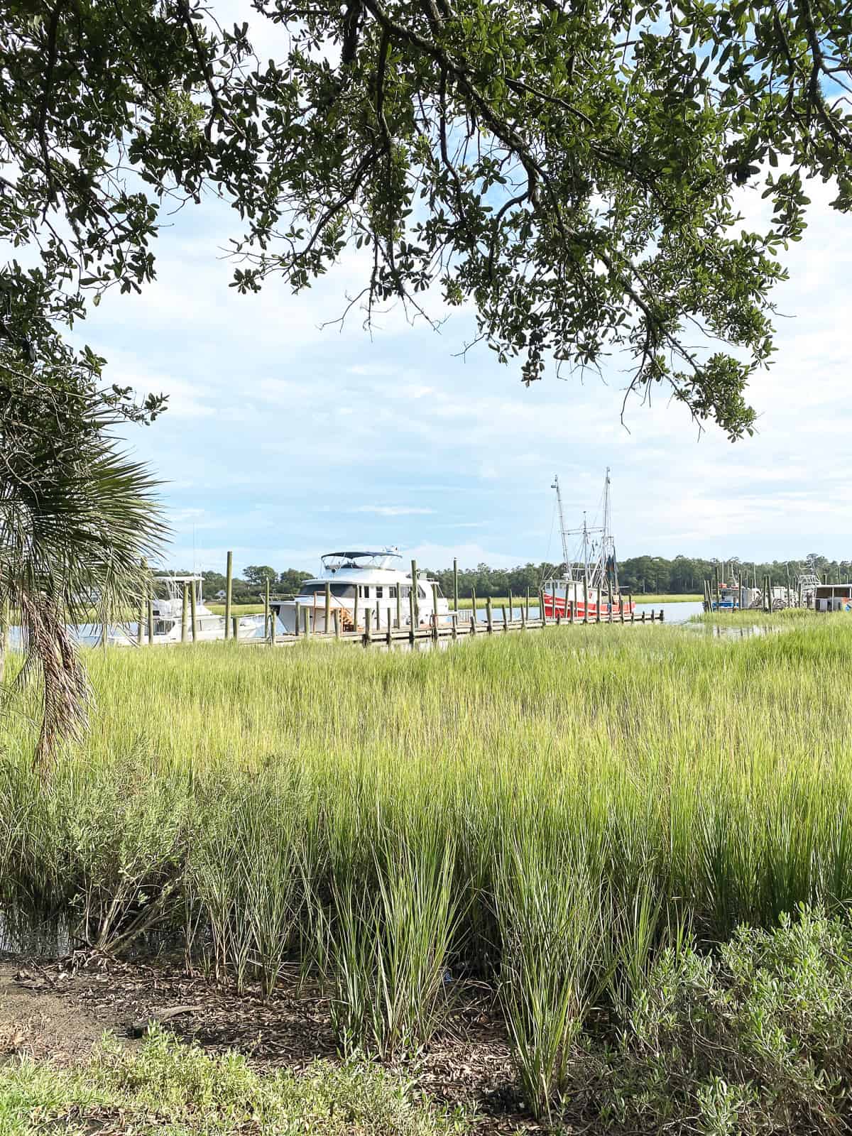  a row of boats on a sunny summer day on a dock in North Carolina