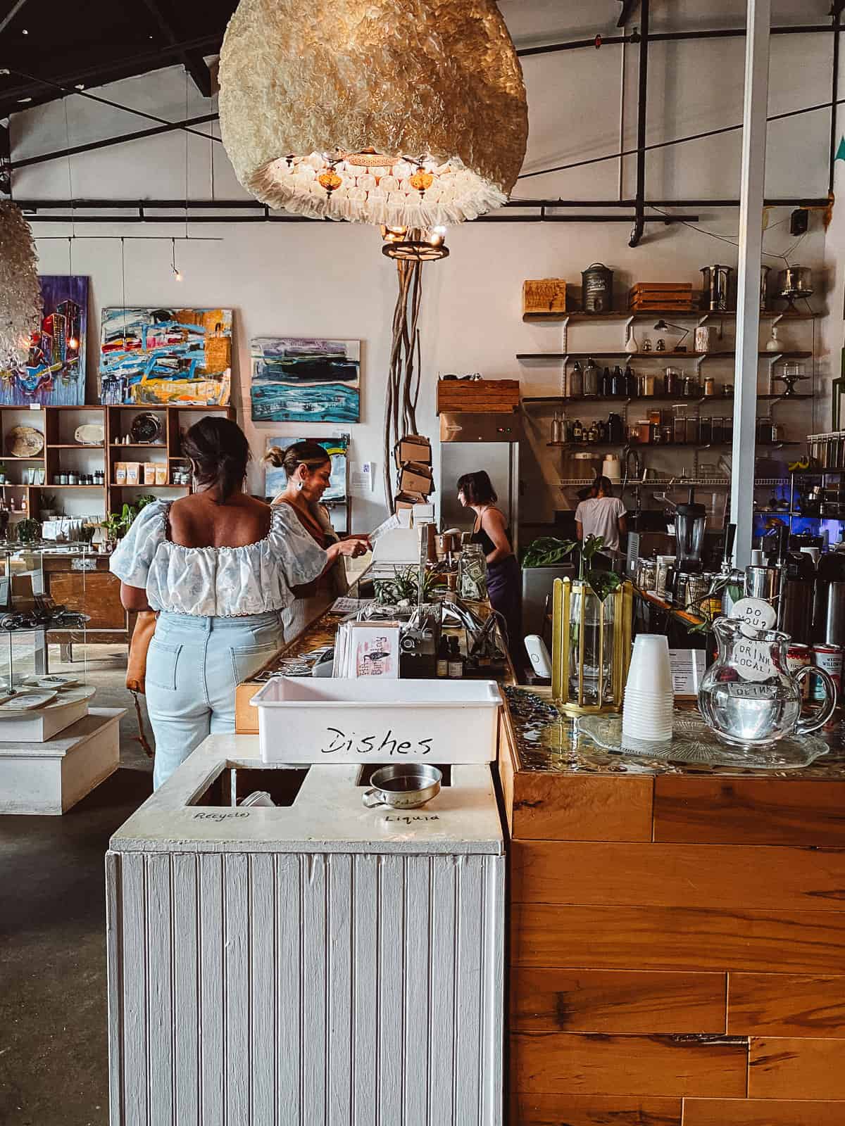 The Lucky Tree coffee shop in Raleigh North Carolina