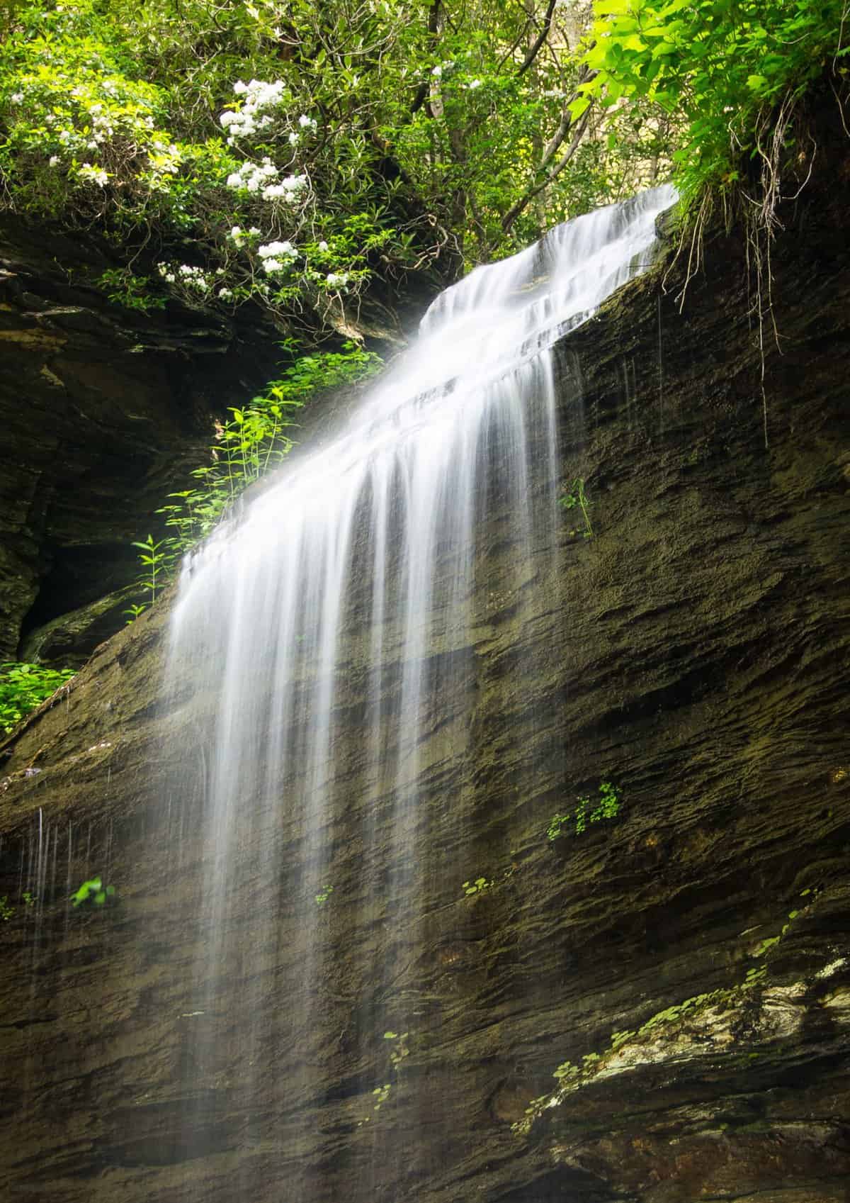 Moore Cove Falls in Pisgah National Forest