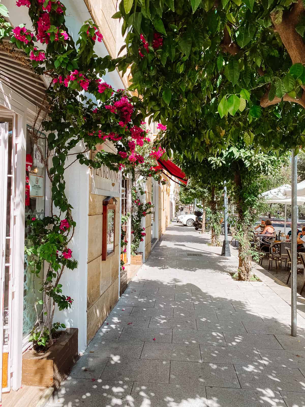 A street with white buildings and pink flowers