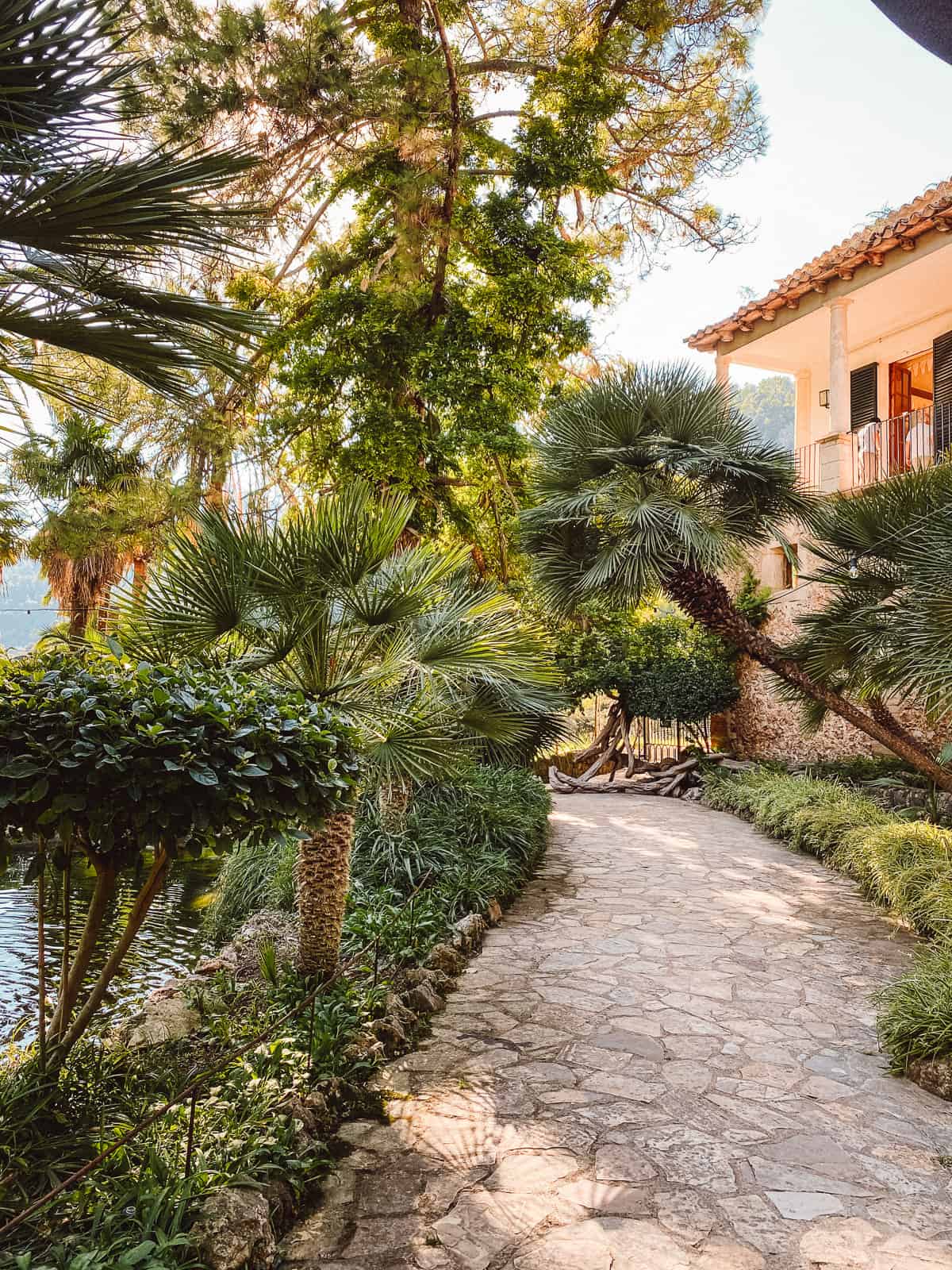 Lush, green palm trees lining the side of a stone pathway