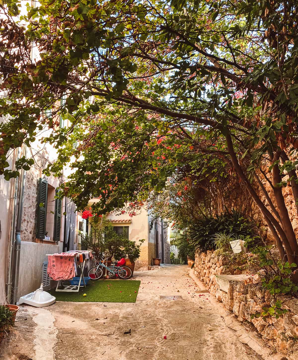 A beautiful stone alleyway with flowers and green trees