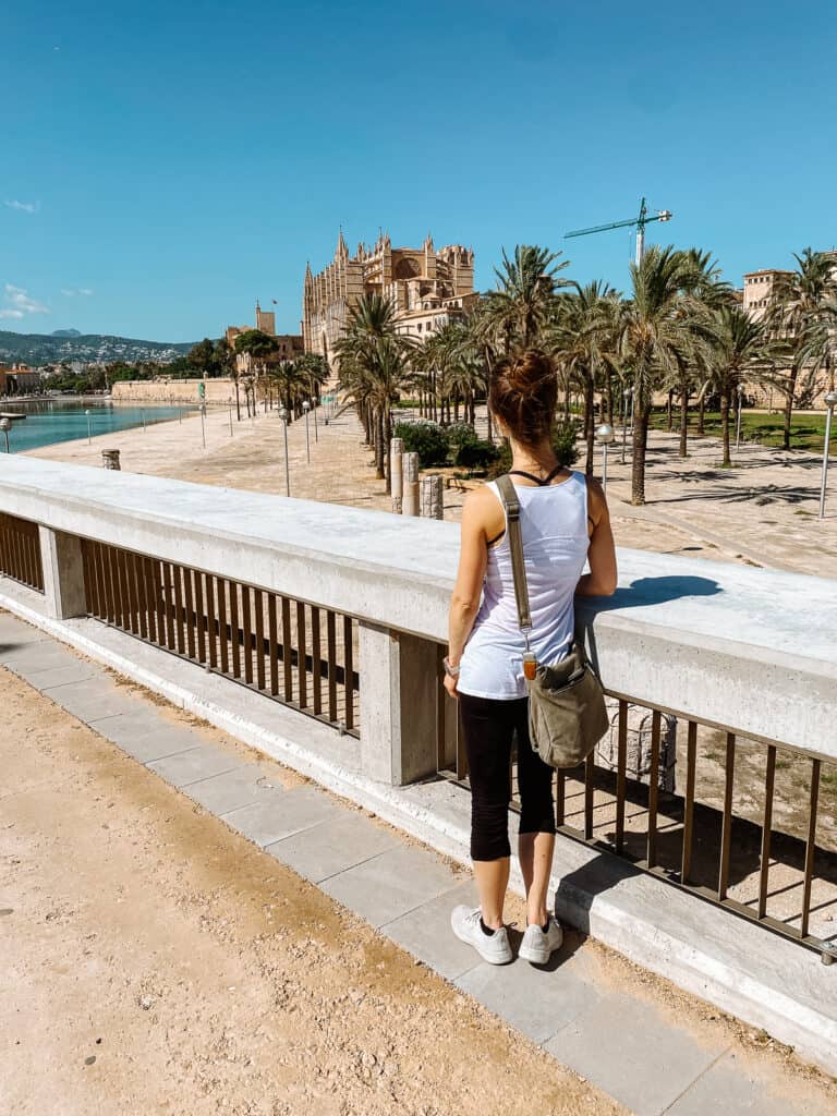 A woman standing on a road overlooking a gothic cathedral