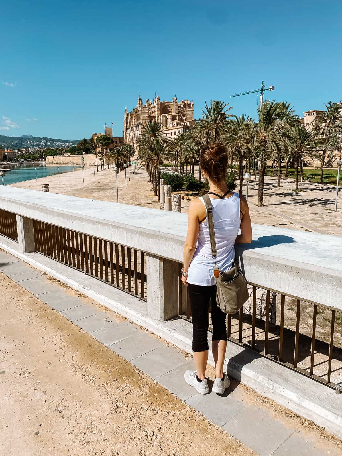 A woman standing on a road overlooking a gothic cathedral