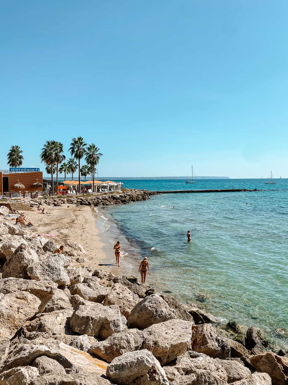 people playing in the ocean on a white and beach