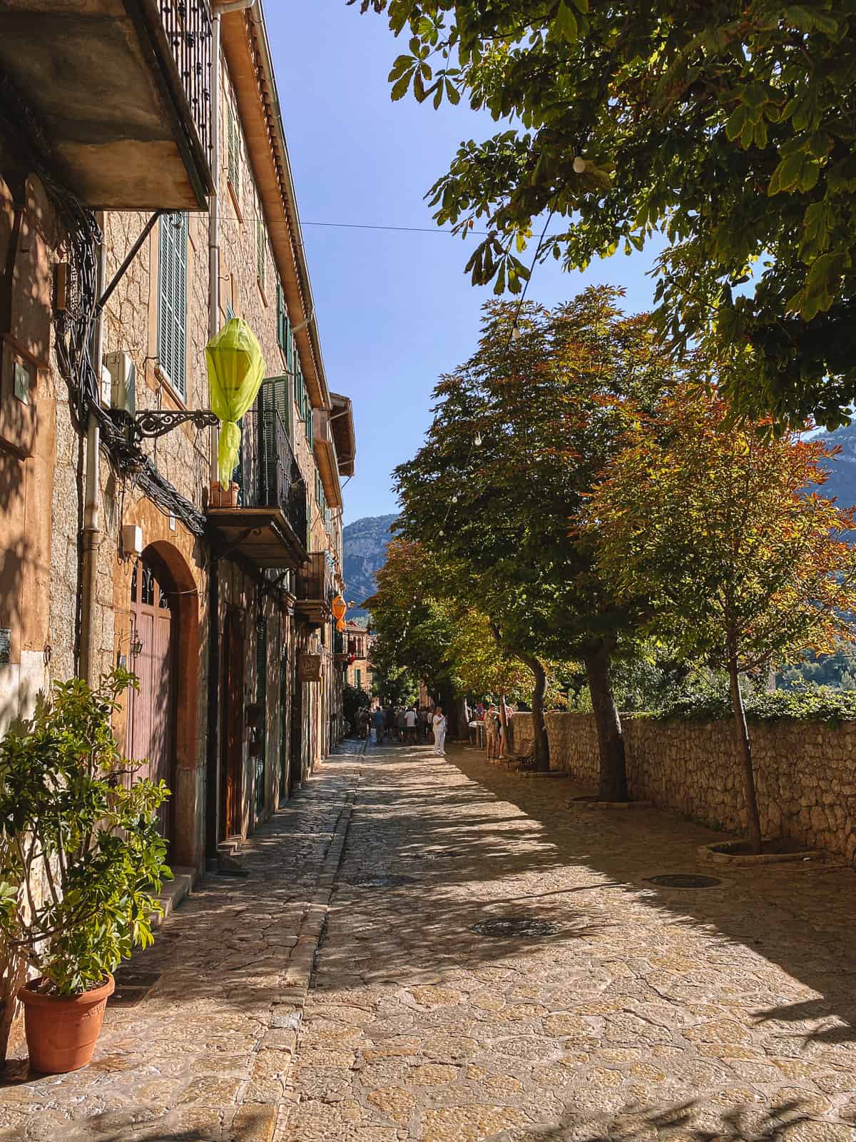 a cobblestone road lined with stone buildings and trees