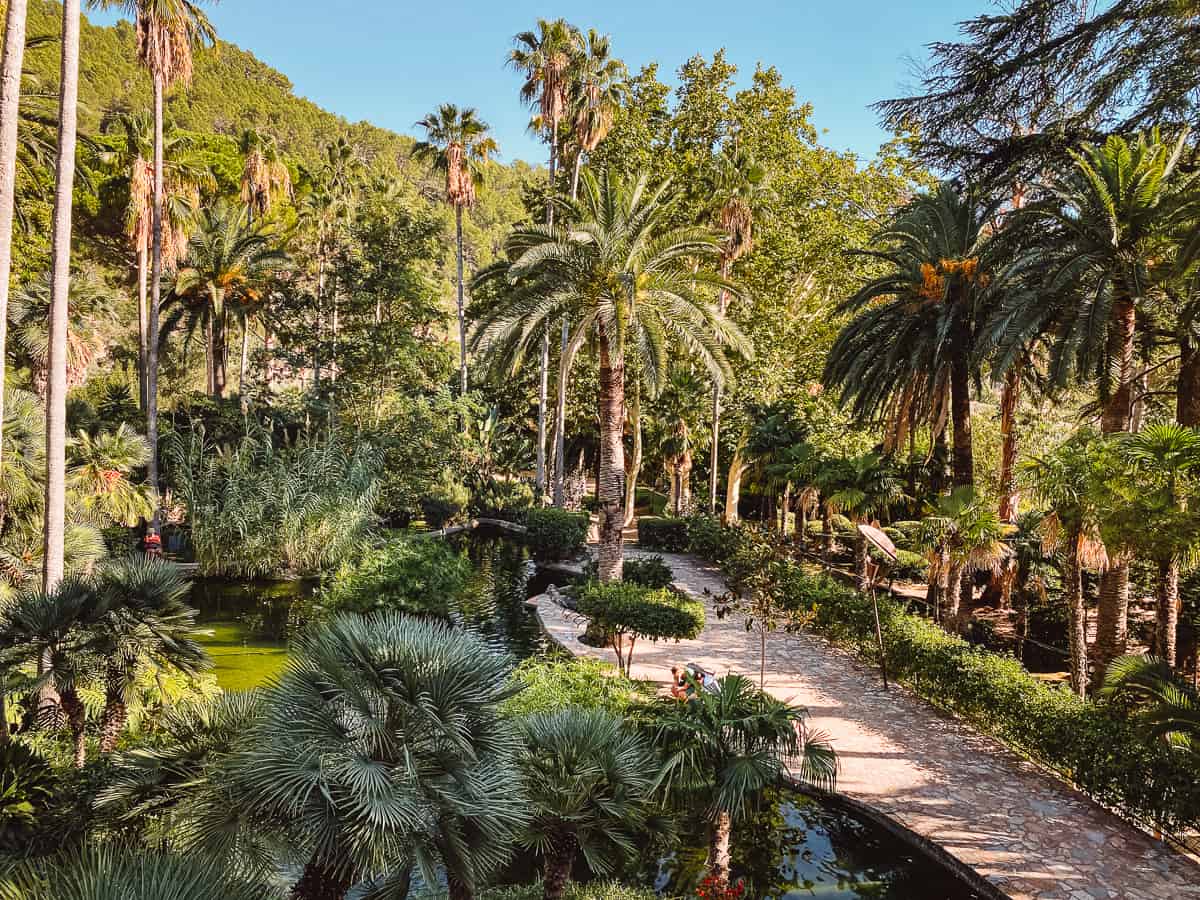 A cobblestone path with palm trees and tropical flowers