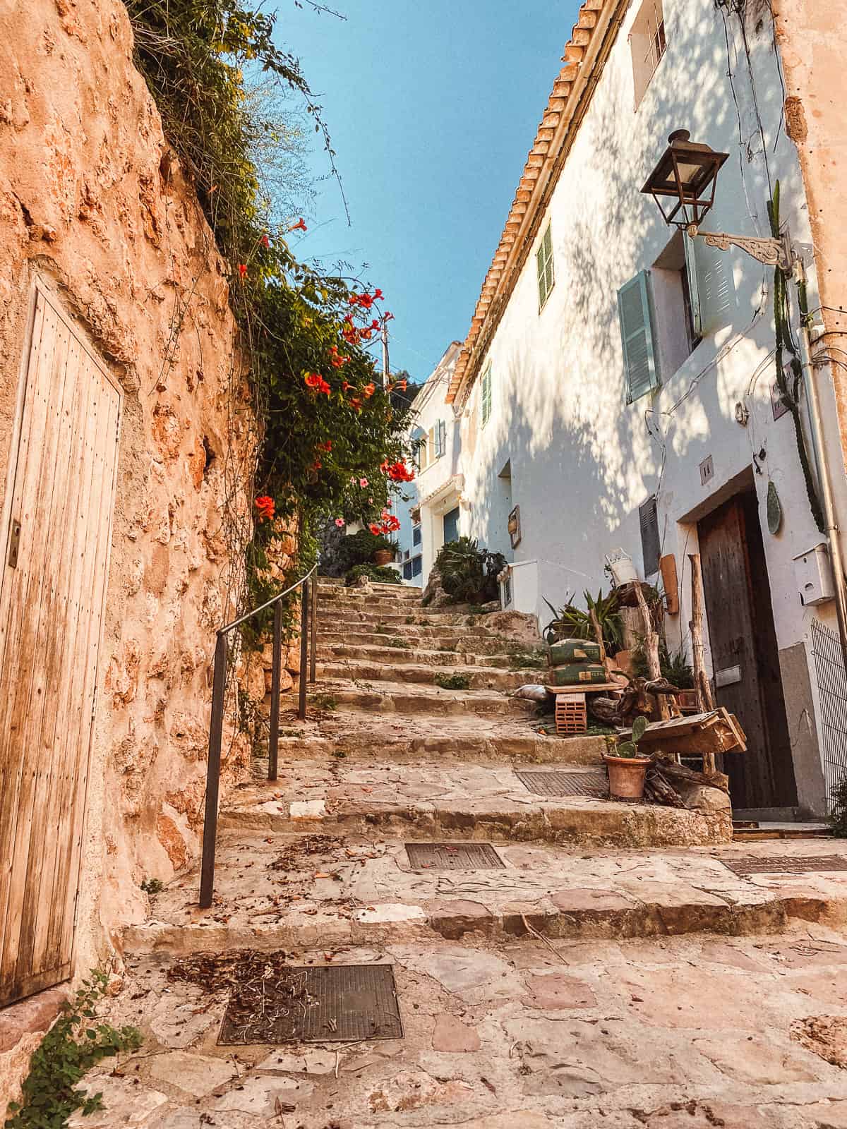 Brown stone steps leading up an old road to a rose garden