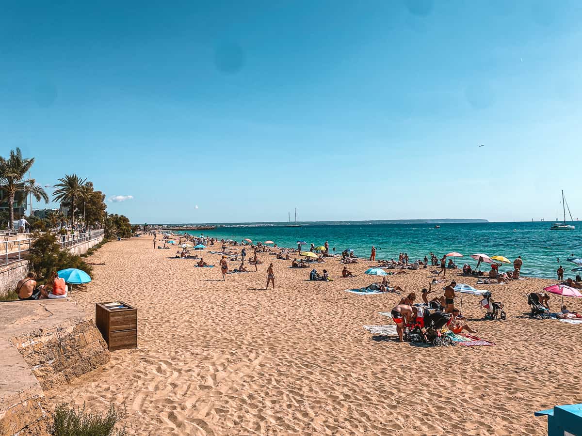 a white sand beach with blue water
