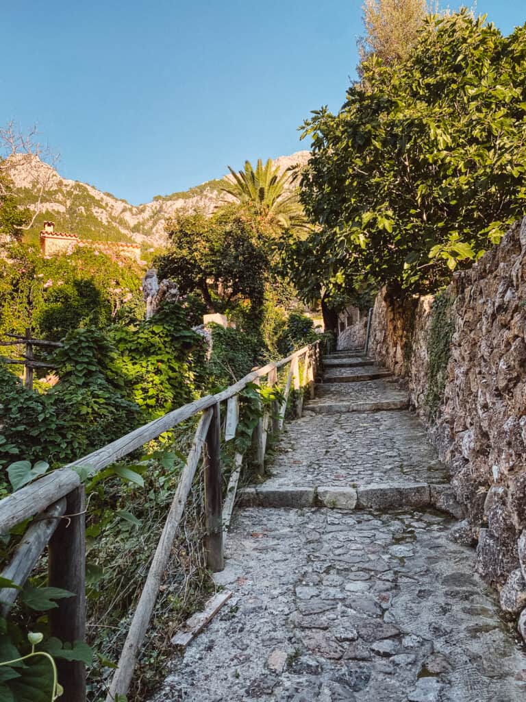 Mallorca in August: Weather and Things to Do