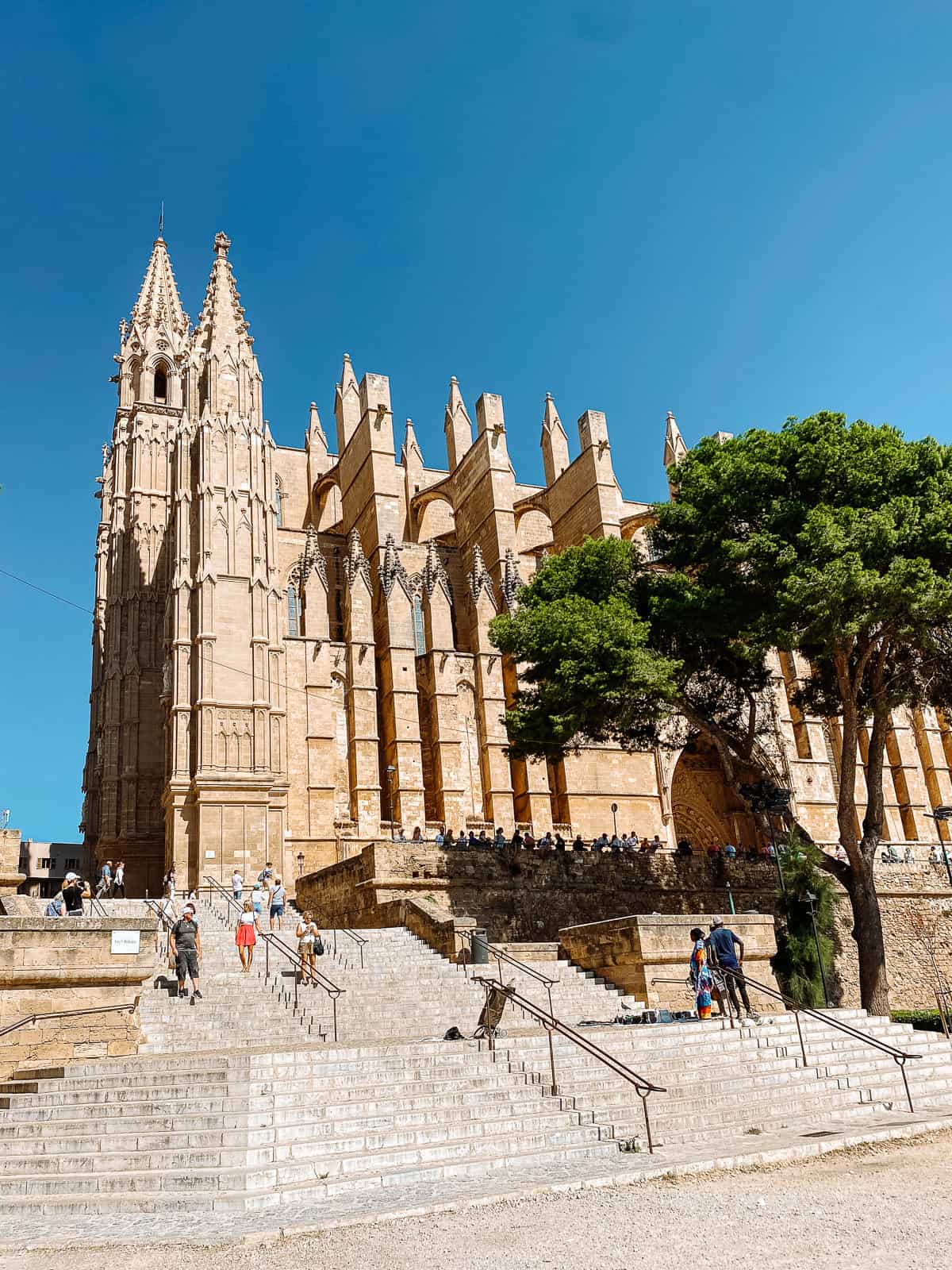 The cathedral in Palma de Mallorca
