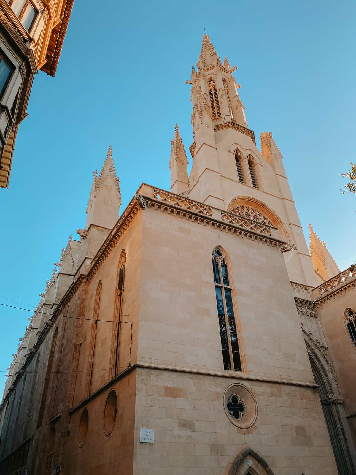 The cathedral in Mallorca made of brown stone