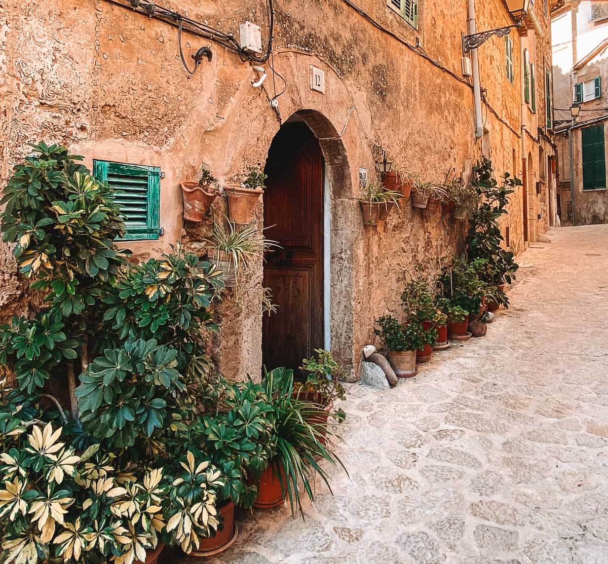 A stone wall with climbing plants and a brown door