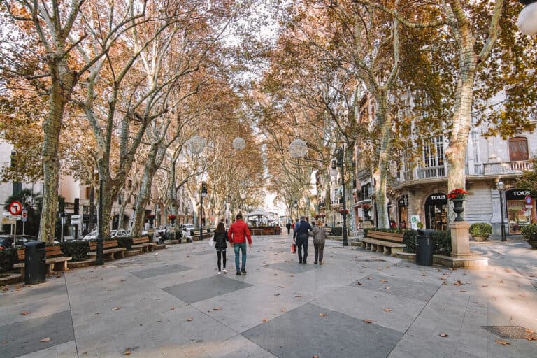People walking down a tree lined road in Mallorca on an overcast day