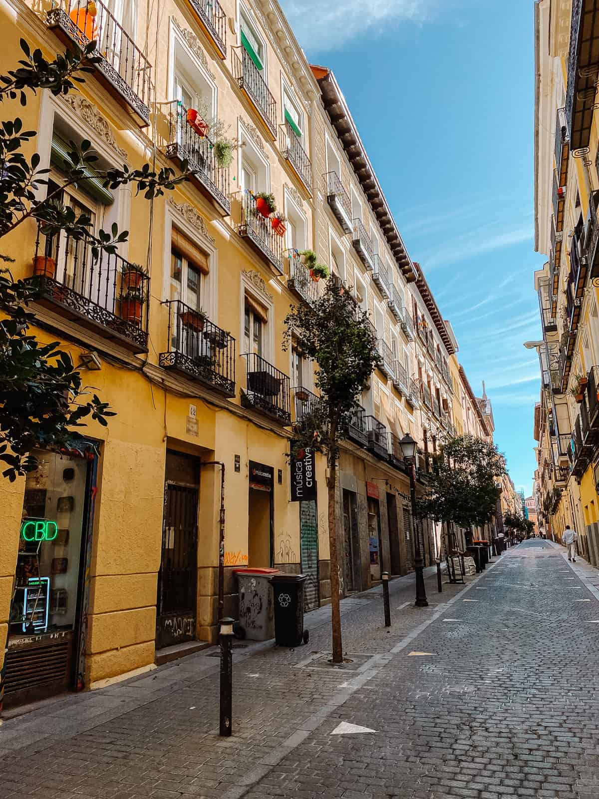 a pedestrian only street in Madrid with yellow buildings,plants and shops
