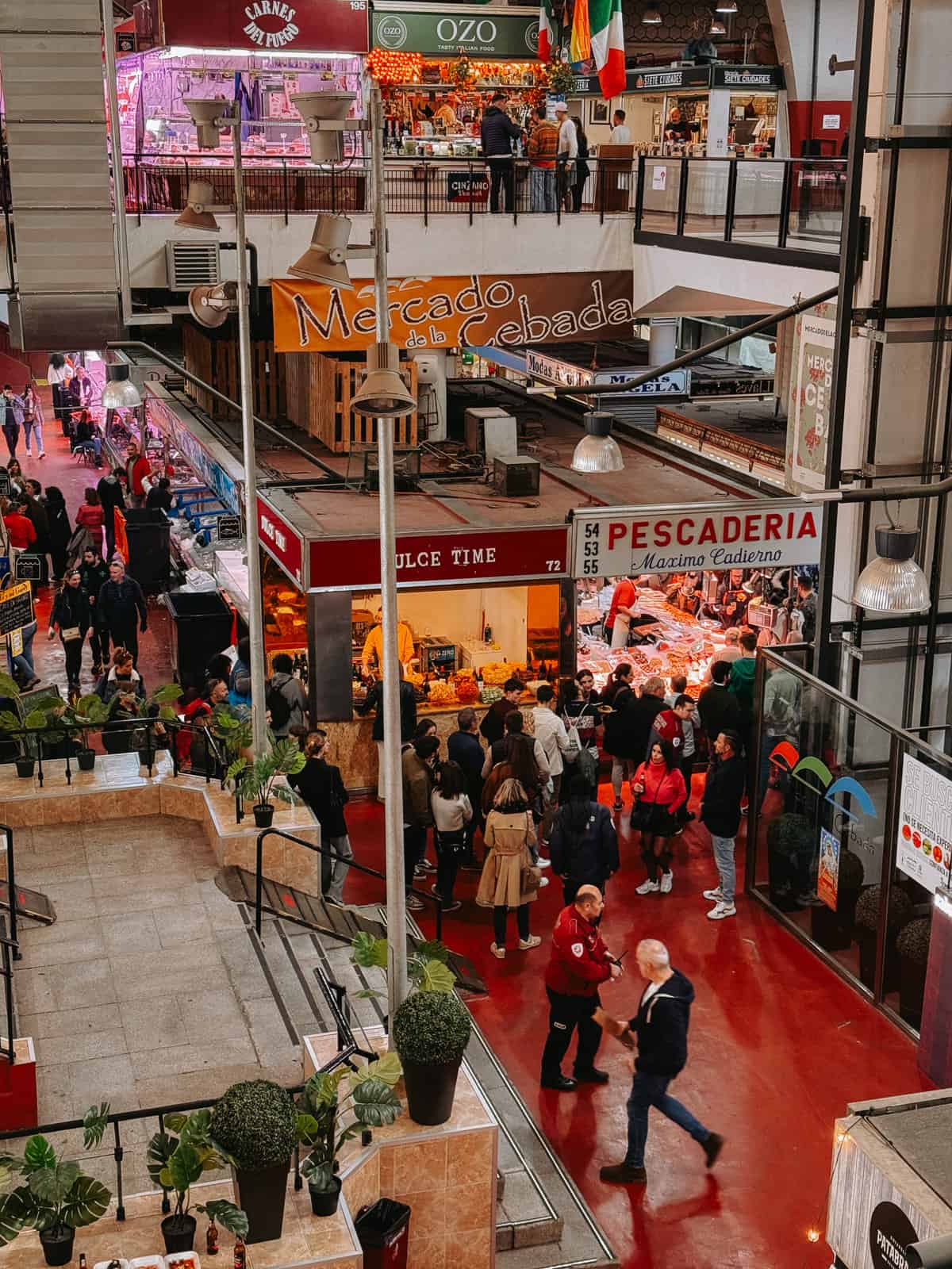 The bustling atmosphere of Mercado de la Cebada in Madrid, with shoppers exploring a variety of stalls, from vibrant fruit vendors to a busy pescaderia, capturing the essence of local Spanish market life