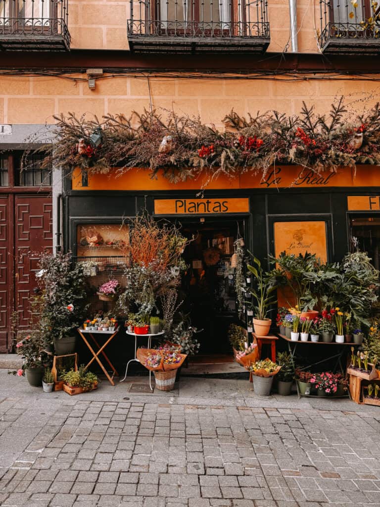 A quaint flower shop with an orange façade, "Plantas La Real," adorned with a variety of potted plants and bouquets displayed outside on the cobblestone street, evoking a charming European small-business atmosphere.