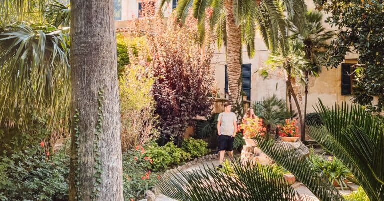 Palm trees lining a cobblestone path as a couple walks down it