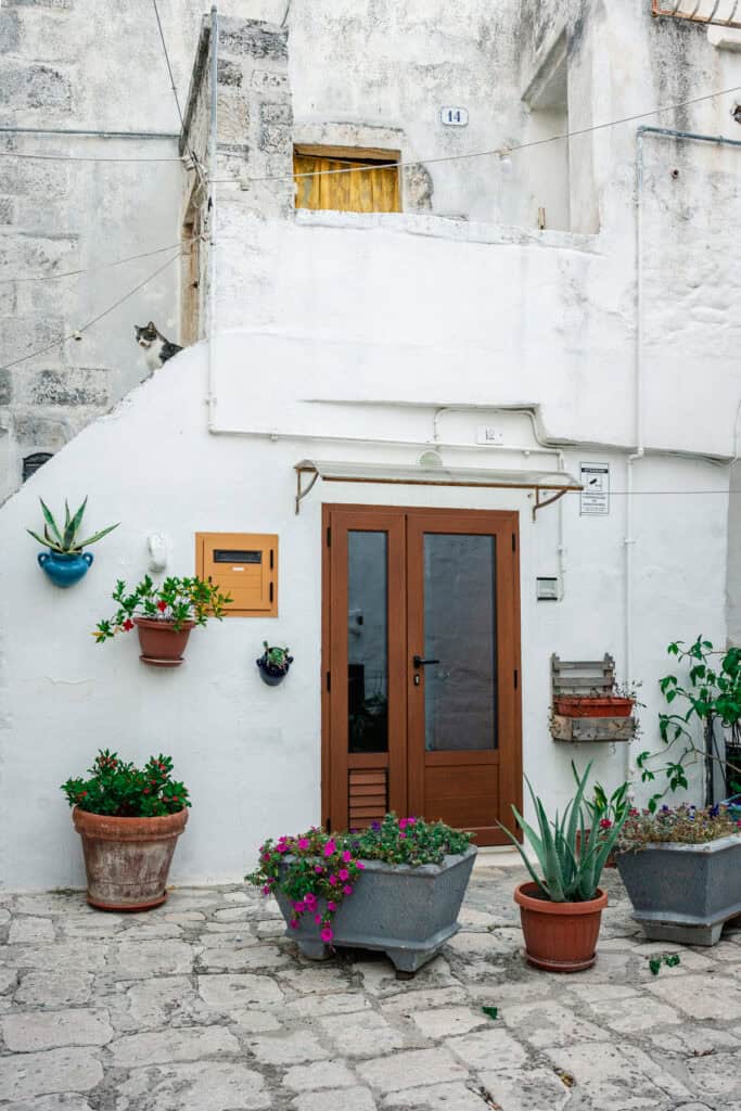 A cozy corner of an old town home with potted plants, a rustic wooden door, and a small cat sitting on a ledge.