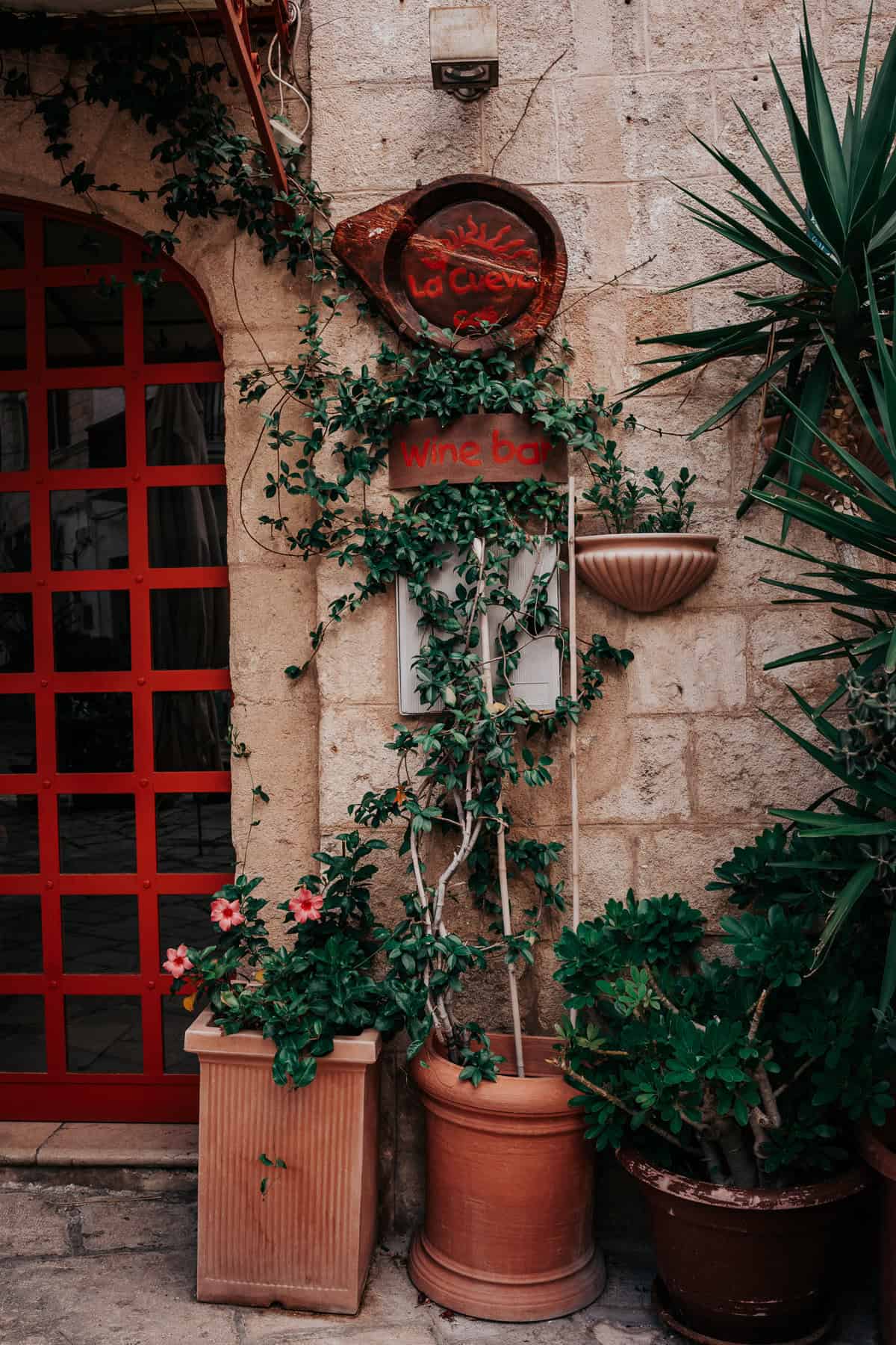 A cozy Italian wine bar entrance covered in lush green vines, with terracotta pots and rustic signage reading "La Cueva Wine Bar."