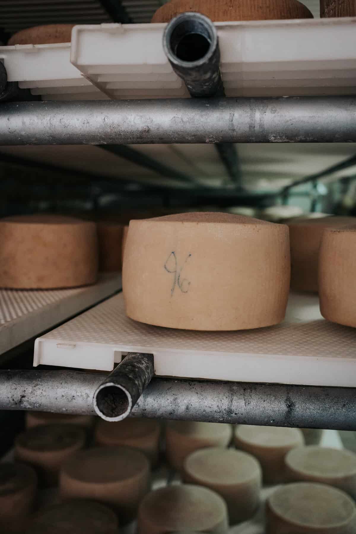 A close-up of a firm wheel of cheese labeled "9/6" in blue ink, resting on a ventilated plastic shelf in a maturing room.